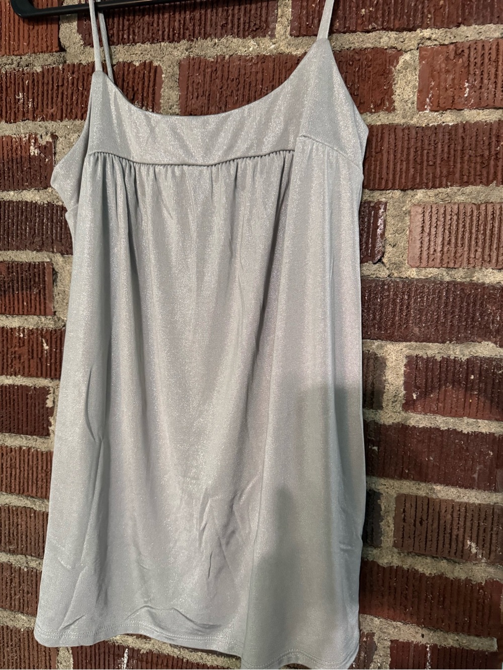 Fire Los Angeles Silver Shimmer Camisole perfect with black slacks